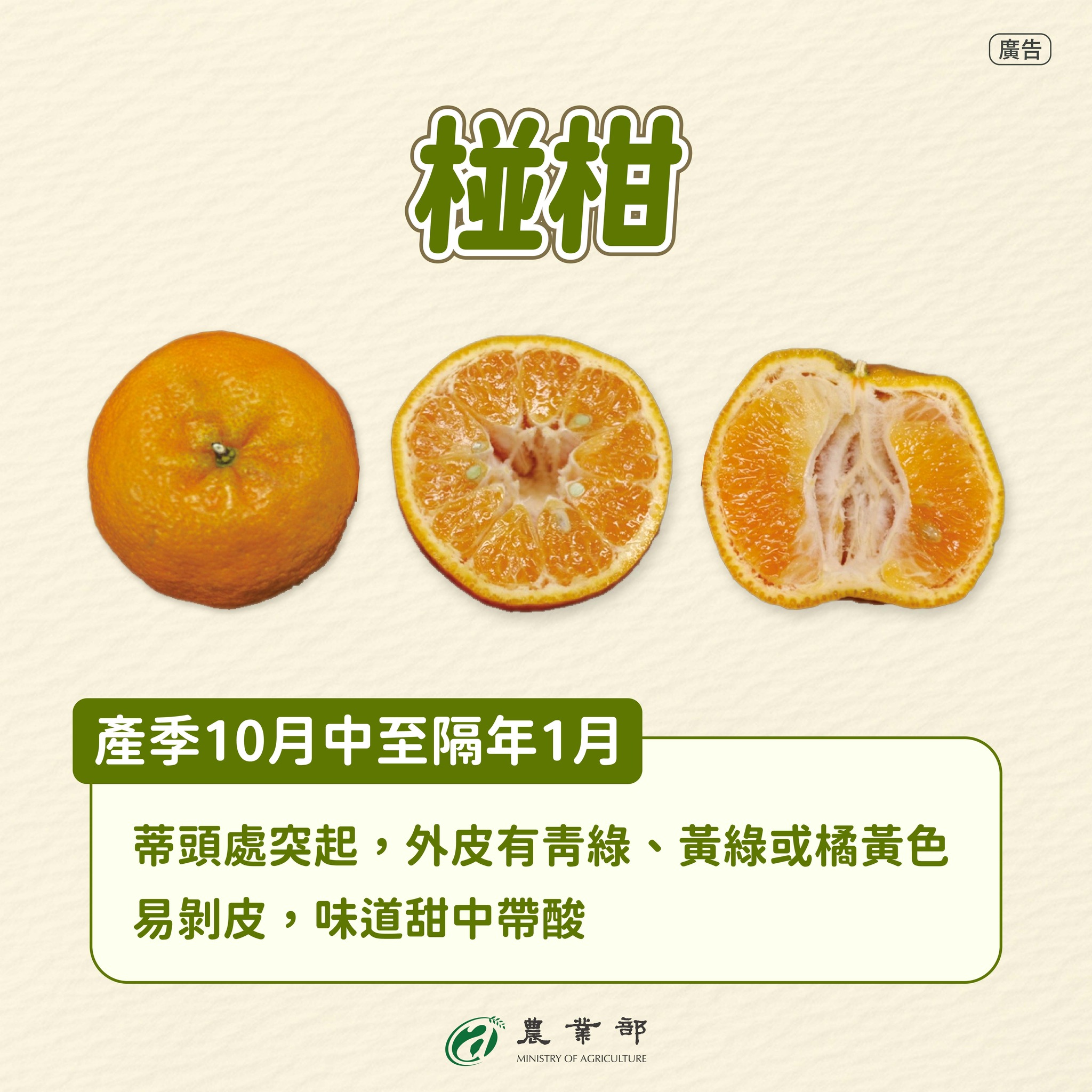椪柑