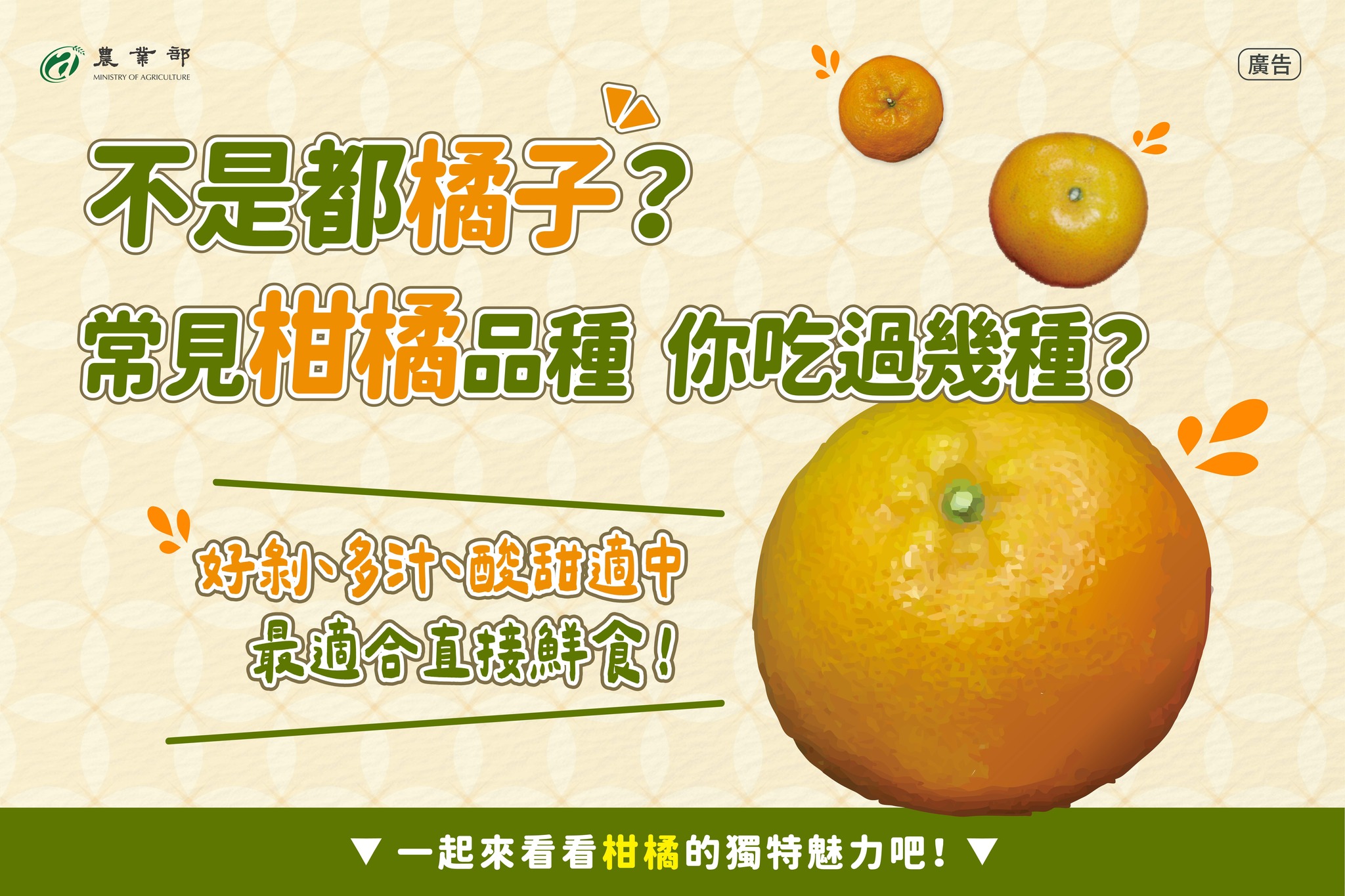 柑橘種類百百種,你知道你吃的是哪種嗎?