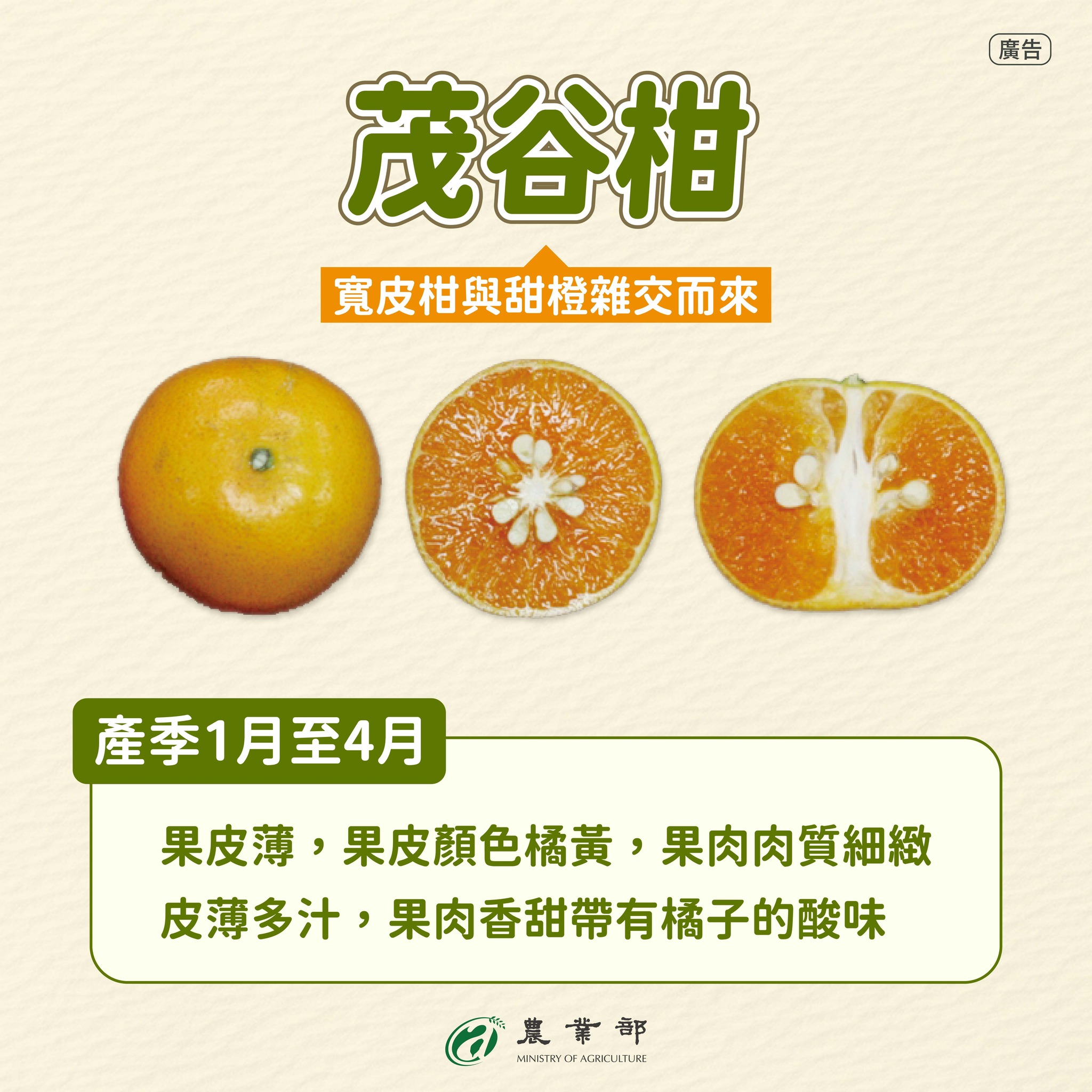 茂谷柑