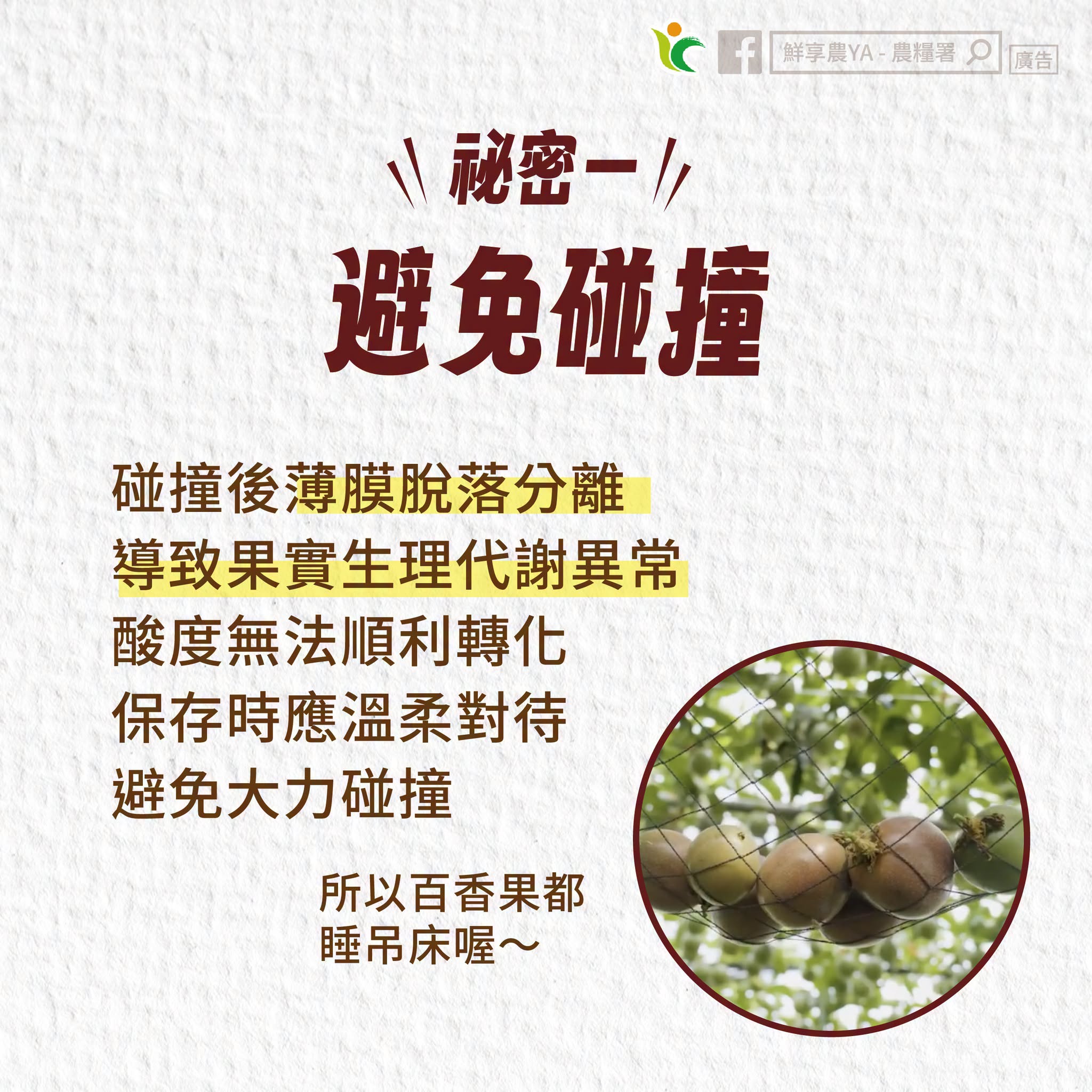 三招秘技～帶你享受百香果香甜滋味2