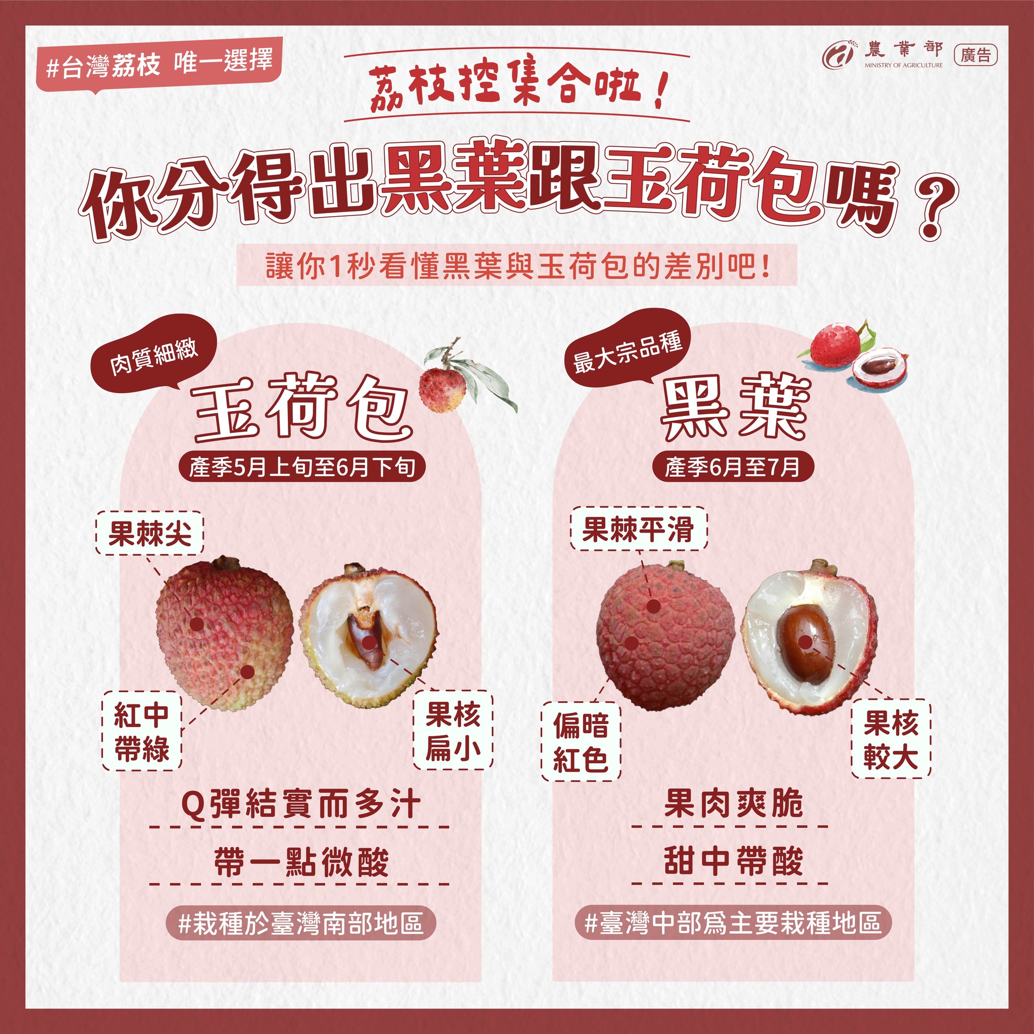 夏天的味道來了！荔枝季正式登場！最喜歡吃哪種荔枝？