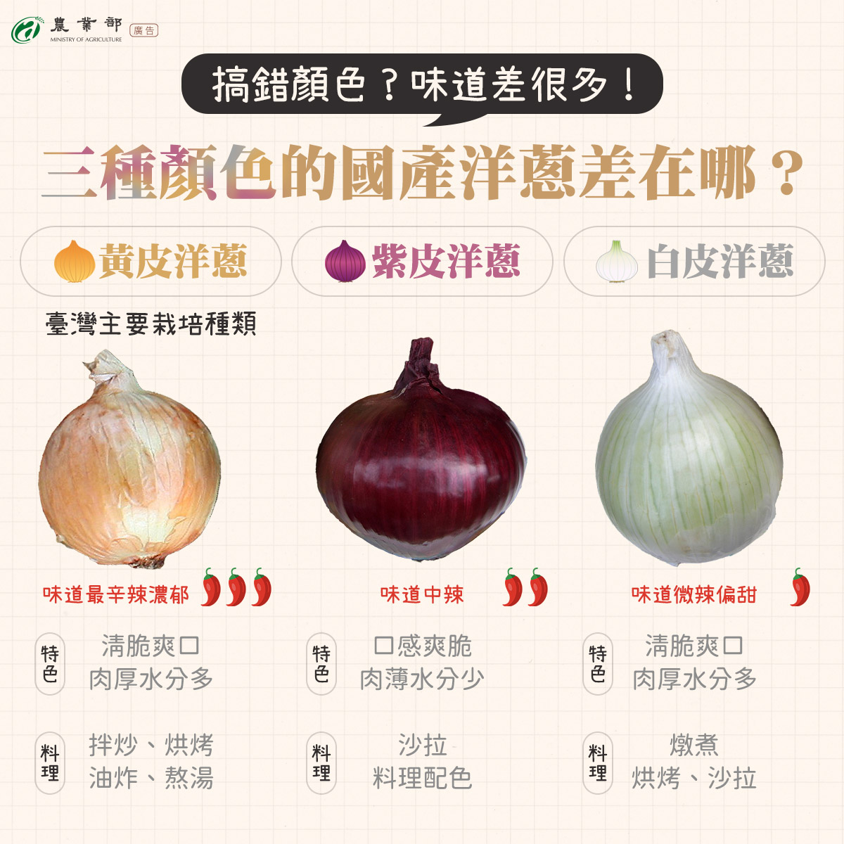 三種顏色的國產洋葱差在哪？