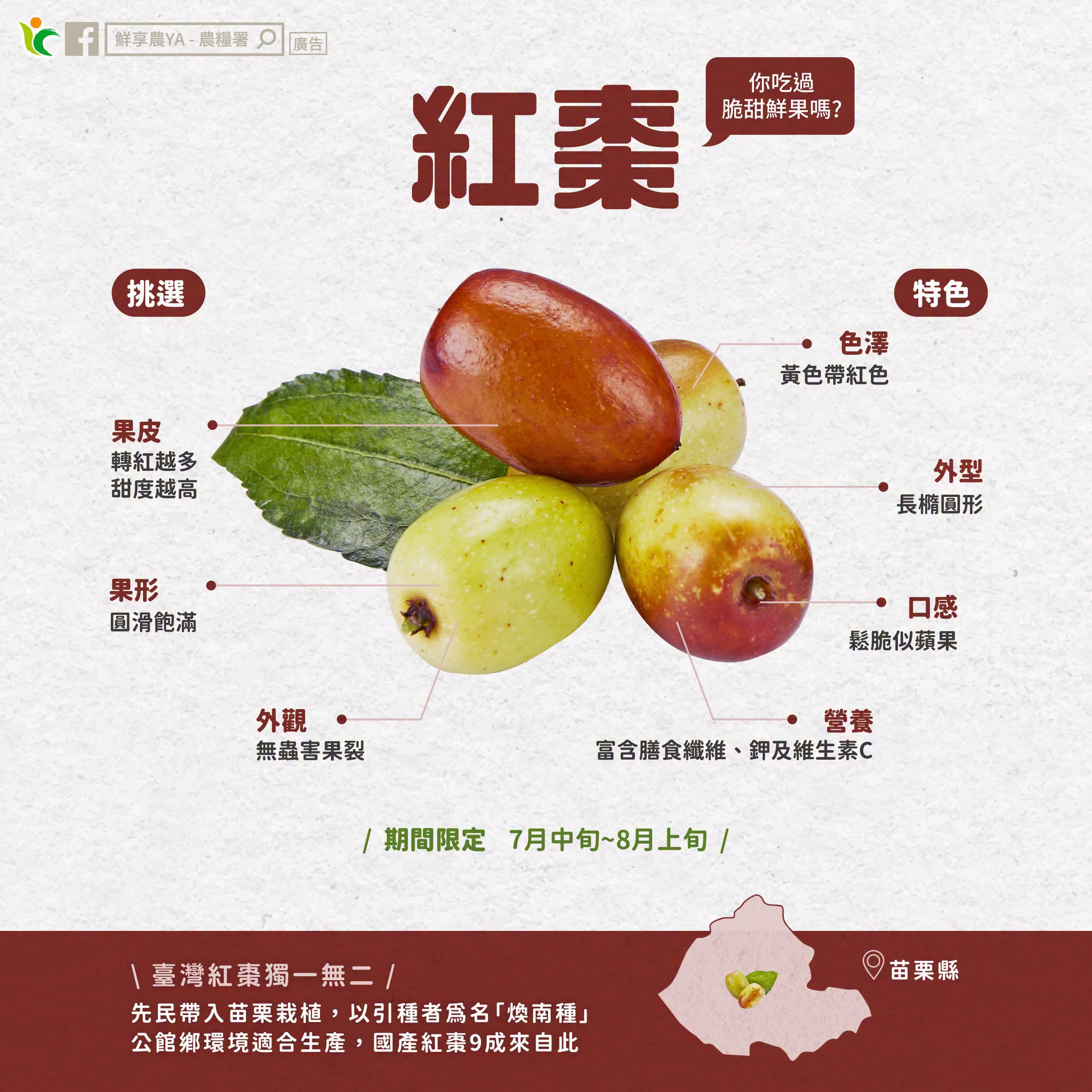 你吃過脆甜鮮果嗎？