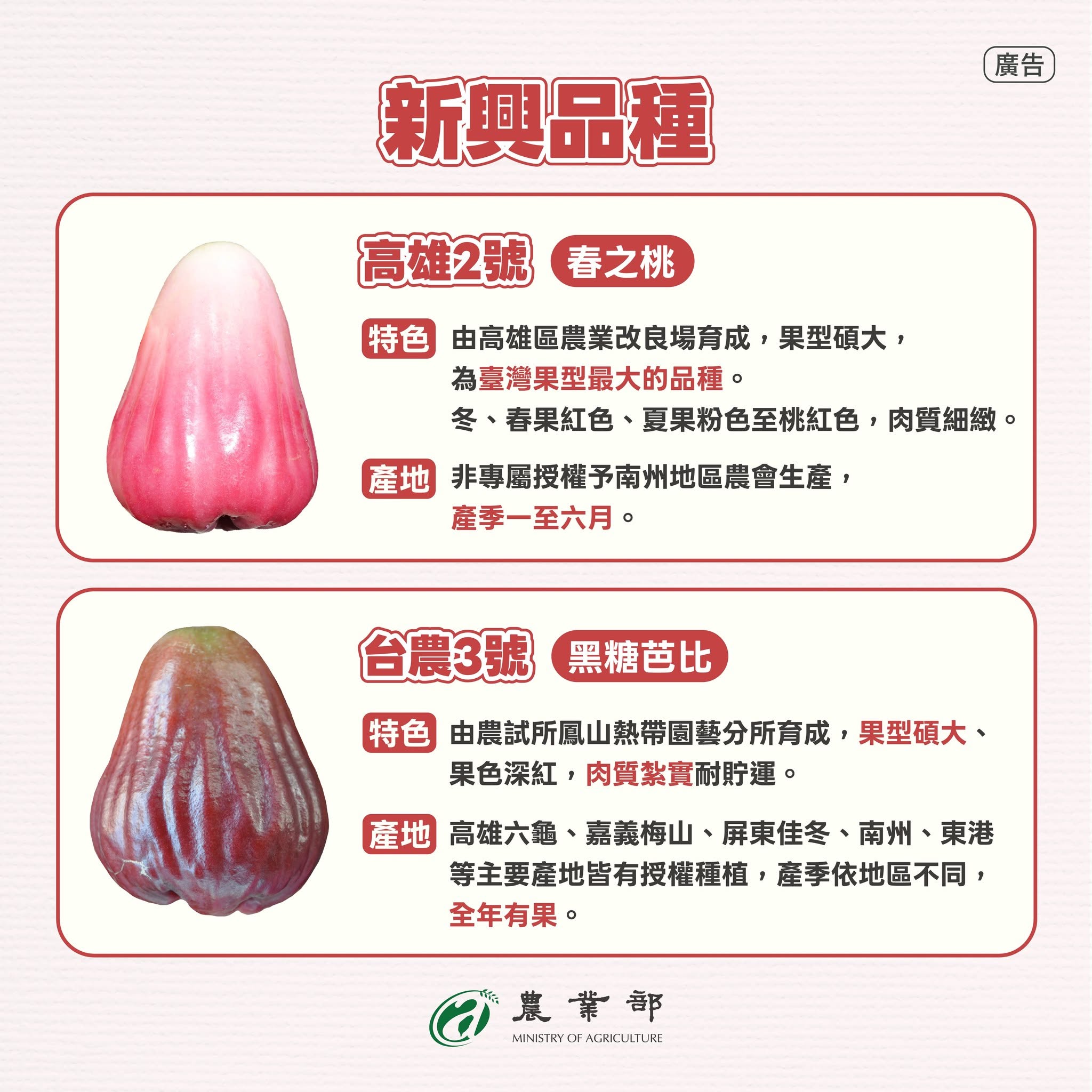 台灣常見蓮霧大集合！4