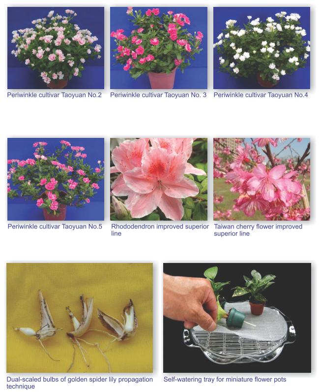 Periwinkle cultivar Taoyuan No.2,Taoyuan No.3,Taoyuan No.4,Taoyuan No.5,Rhododendron improved superior line,Taiwan cherry flower improved superior line,Dual-scaled bulbs of golden spider lily propagation technique and slef-watering tray for miniature flower pots.