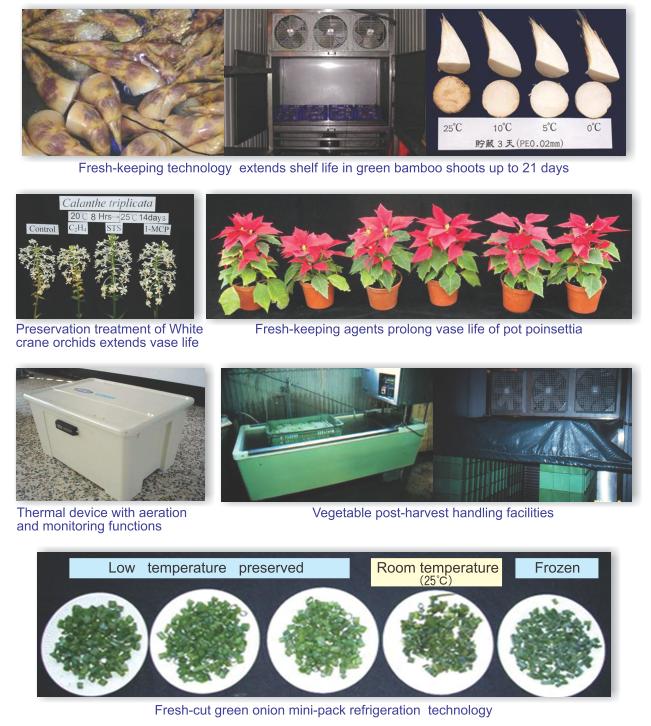 Fresh-keeping technology extends shelf life in green bamboo shoots up to 21 days,preservation treatment of white crane orchids extends vase life, fresh-keeping agents prolong vase life of pot poinsettia,thermal device with aeration and monitoring fuctions, vegetable post-harvest handing facilites and fresh-cut green onion mini-pack refrigeration technology.