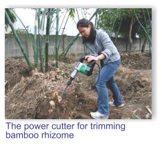 The power cutter for trimming bamboo rhizome.