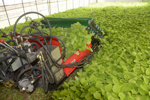 電動葉菜散裝收穫機