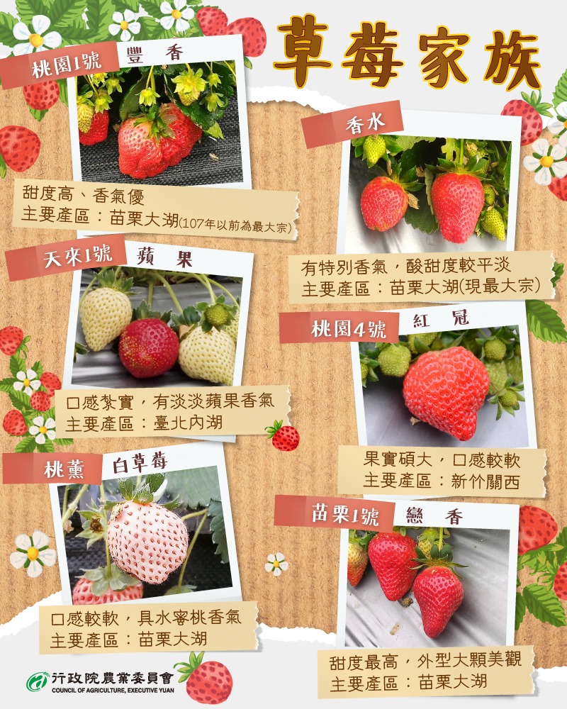 草莓季到啦！