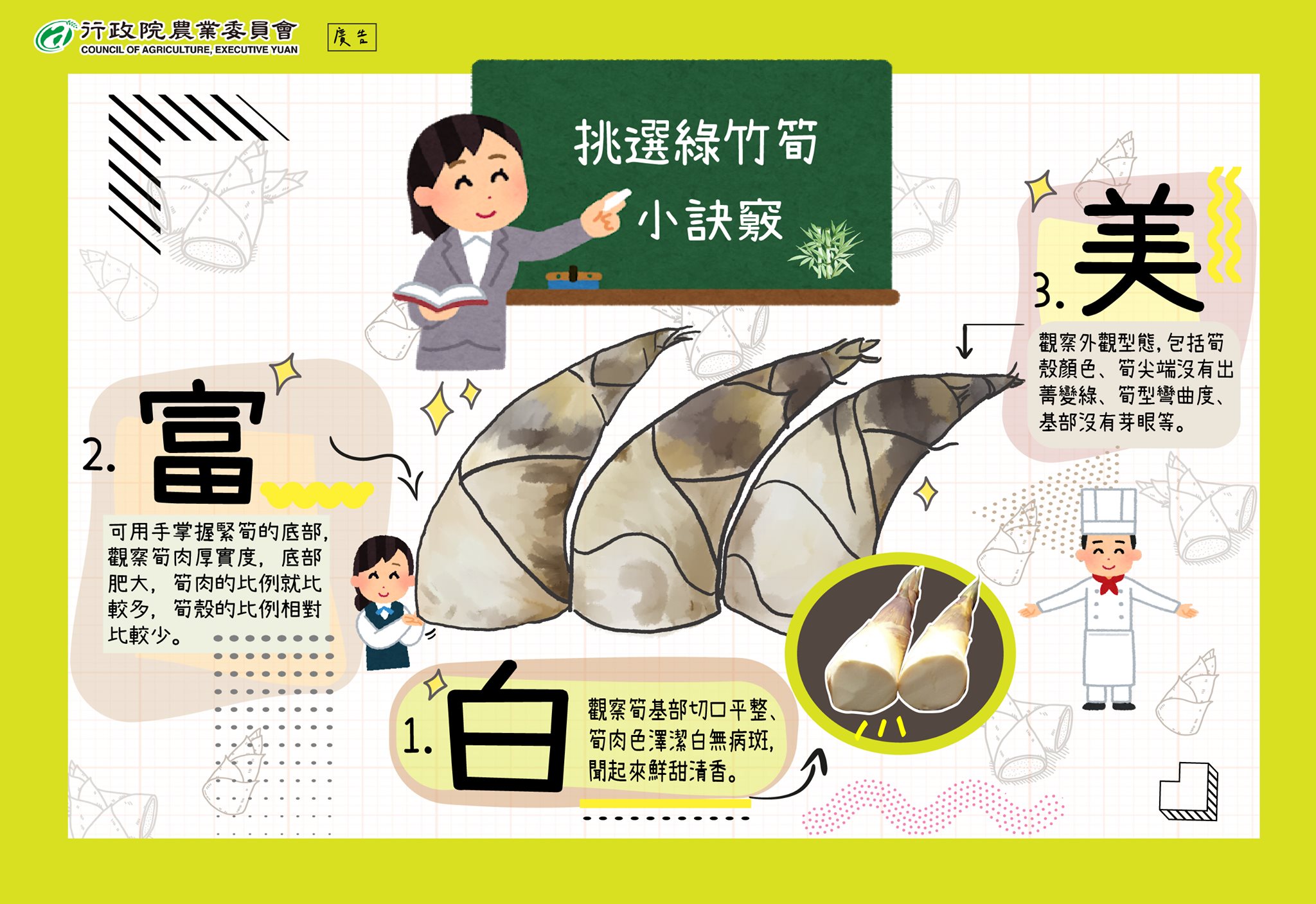 農產知識-綠竹筍怎麼挑 選「白富美」就沒錯！