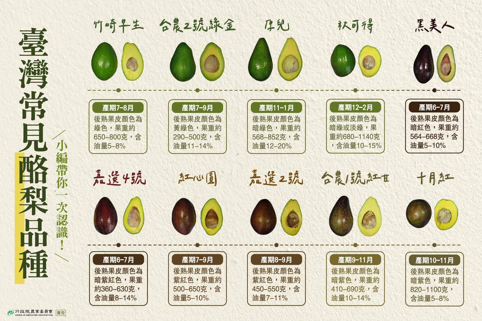 農產知識-臺灣常見酪梨品種，小編帶你一次認識！