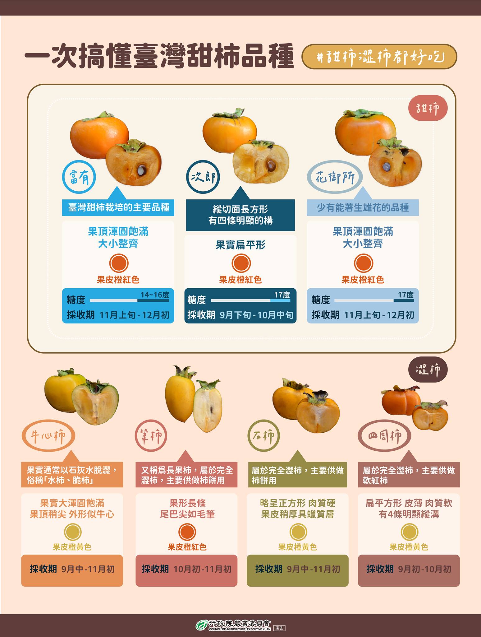 農產知識-一次搞懂臺灣柿子品種