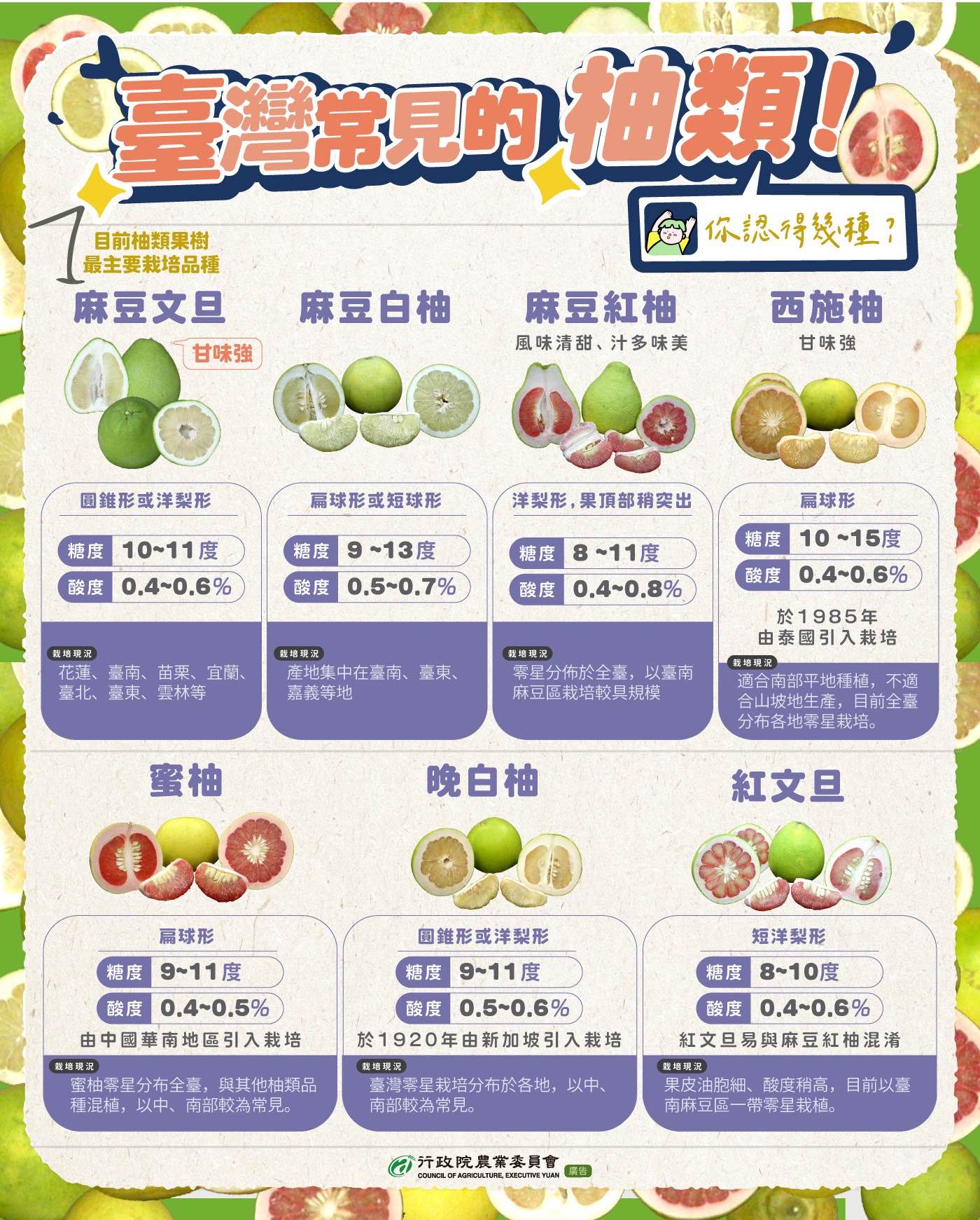 臺灣常見的柚類品種