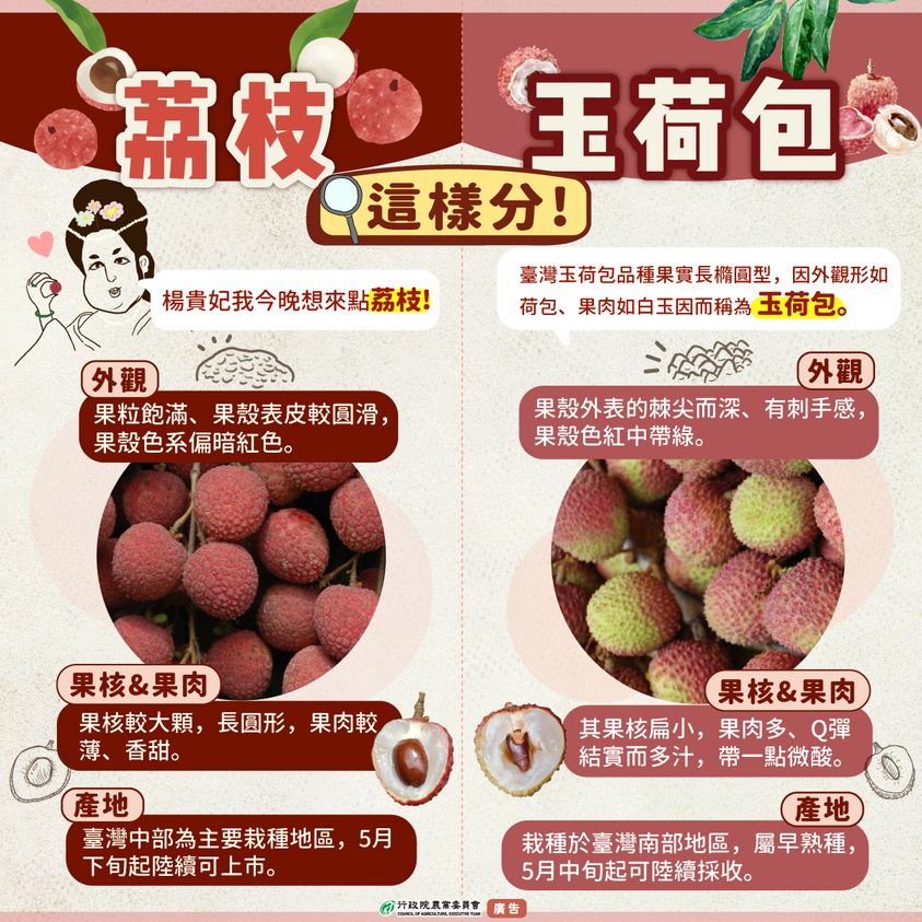 手上拿的是荔枝還是玉荷包?