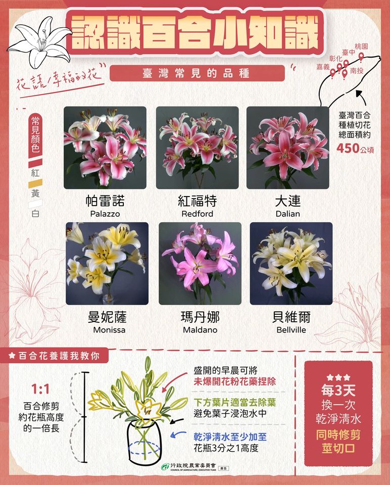 認識百合小知識