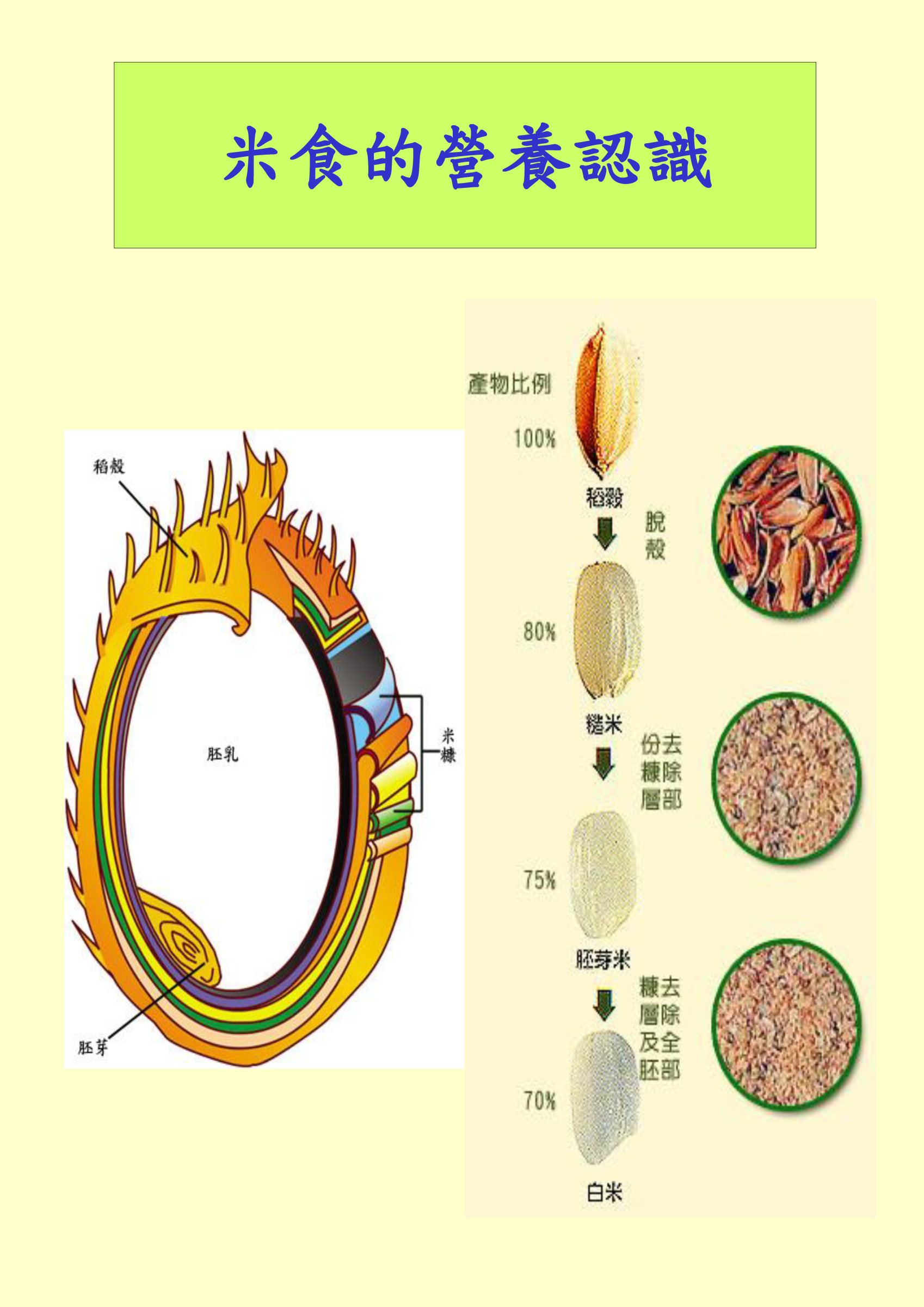 米食的營養認識